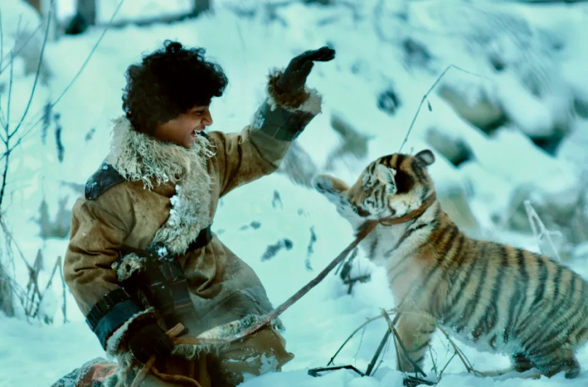  Diamond Films lança pôster de O Menino e o Tigre e anuncia estreia nos cinemas para fevereiro