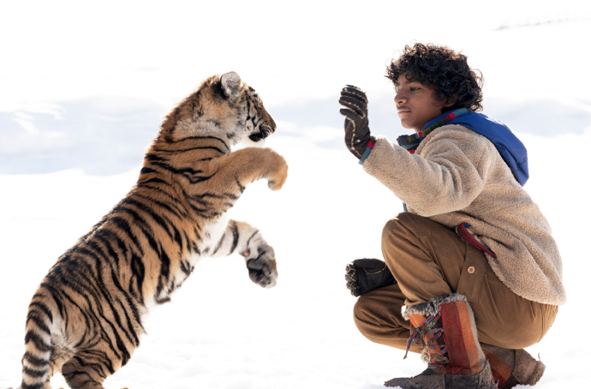  Diamond Films lança trailer emocionante da aventura O Menino e o Tigre, com Sunny Pawar